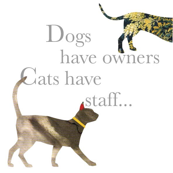 Dogs have owners Cats have staff typography with cat and dachshund images.