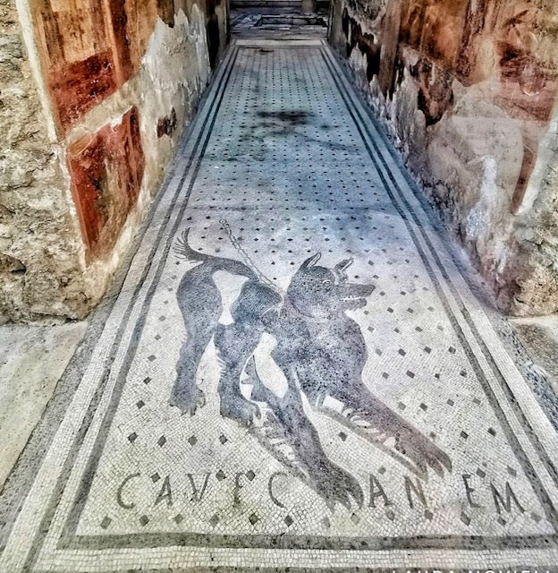 Cave Dachsum Greetings Card