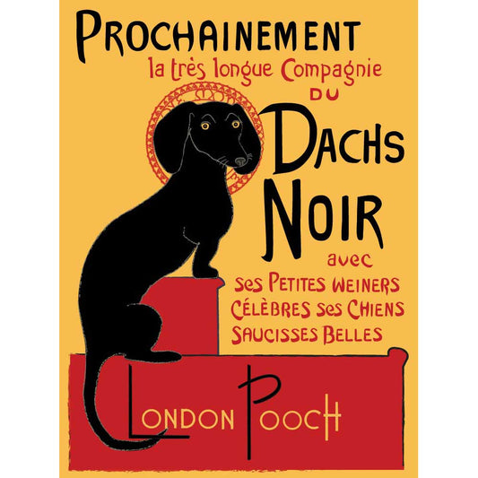 Dachs Noir Print