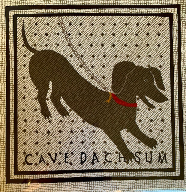 Cave Dachsum Greetings Card